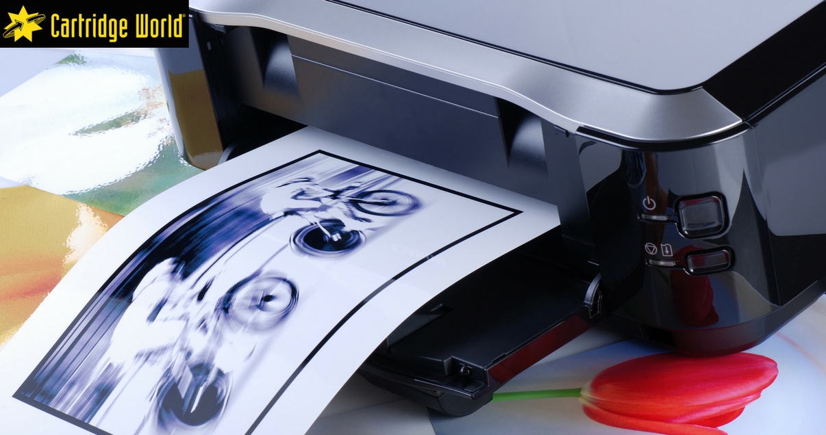 The Best Photo Printers for Photographers